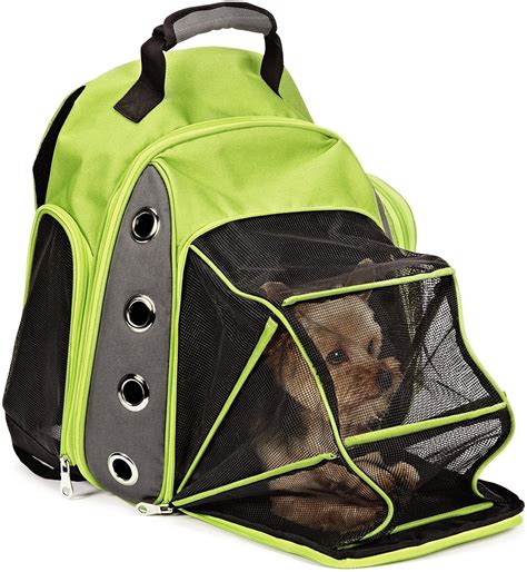 Best Dog Backpack Carriers for Hiking | Outdoorish