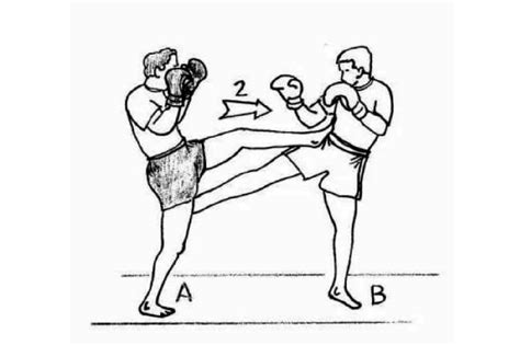 Muay Thai Techniques For Beginners