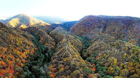 Iran’s prehistoric Hyrcanian Forest