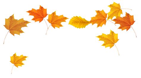 Free Fall Leaf Transparent Background, Download Free Fall Leaf ...