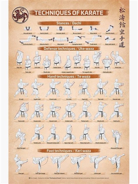 Learn Karate Techniques with Fiore Tartaglia Poster