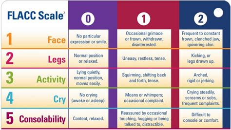 Flacc Pain Scale Printable