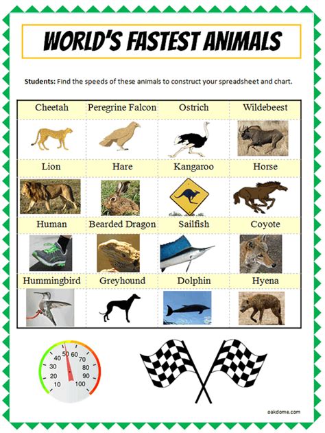 Excel - Worlds Fastest Animals | K5 Computer Lab