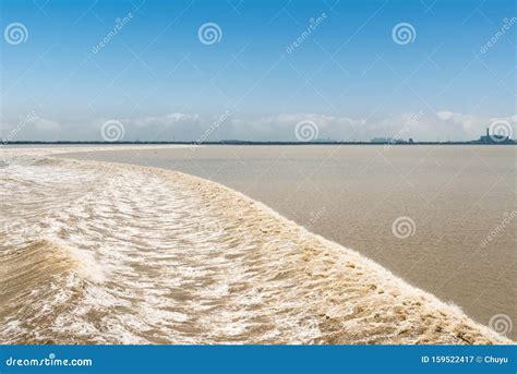 Qiantang river tidal bore stock image. Image of distance - 159522417