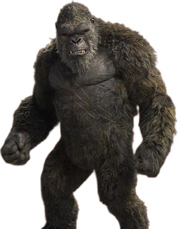 Kong 2021 Render PNG 2 by Jurassicworldcards on DeviantArt