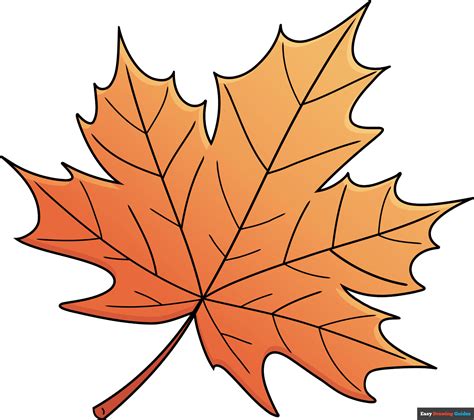 How to Draw a Maple Leaf - Really Easy Drawing Tutorial