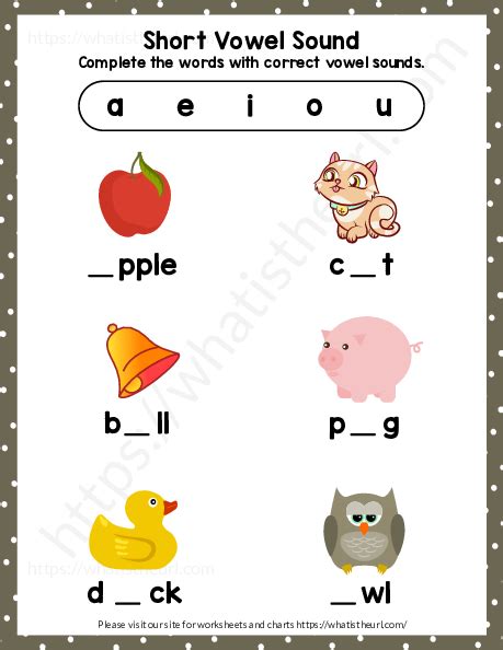 Vowels Worksheet - Your Home Teacher