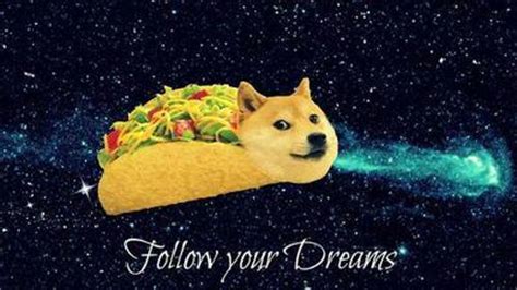 [Image - 622896] | Doge | Know Your Meme