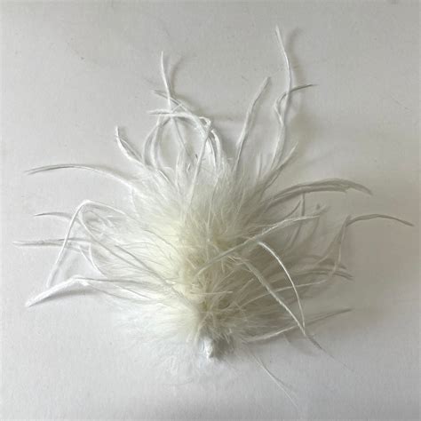 Ostrich Feathers | Feather.com.au