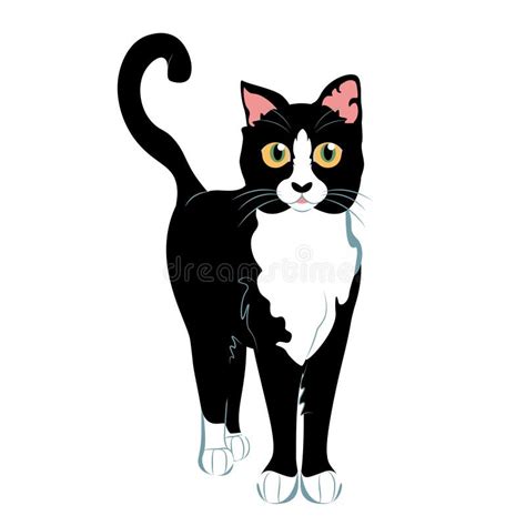 Black White Cat Stock Illustrations – 171,094 Black White Cat Stock ...