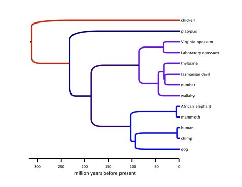 Thylacine Sequencing Project at PSU