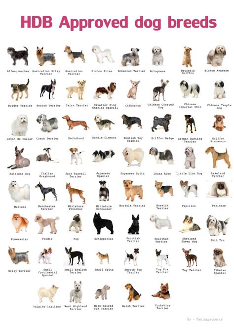 Types of Pets Allowed in HDB | Dog breeds chart, Dog breeds list, Dog ...