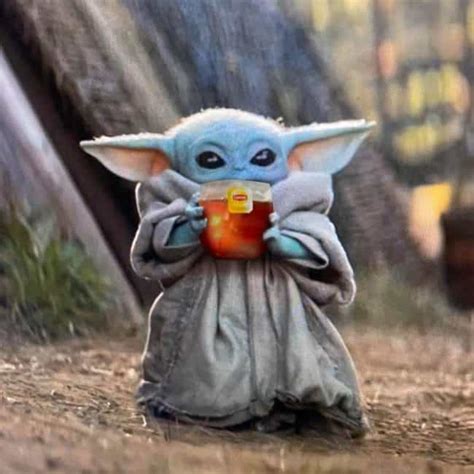 Baby Yoda Memes Are Here To Stay- And That's The Tea