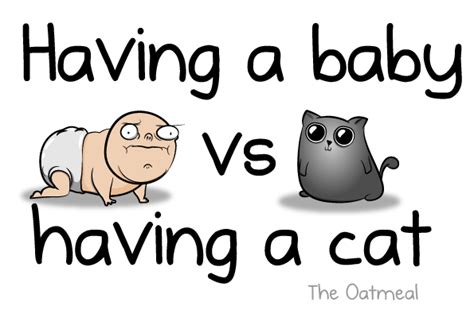 Having a baby VS having a cat - The Oatmeal