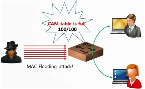 Penetration tester diary.: MAC Flooding