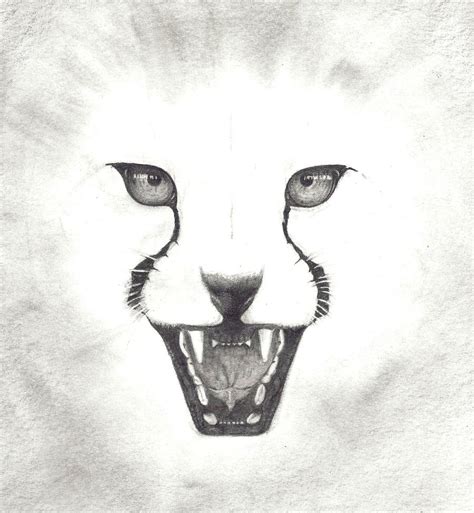 Cheetah Face by Yllenus on DeviantArt