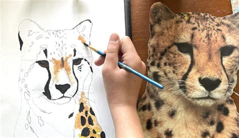 Young Entrepreneurs Create Art That Benefits Cheetahs - Cheetah ...