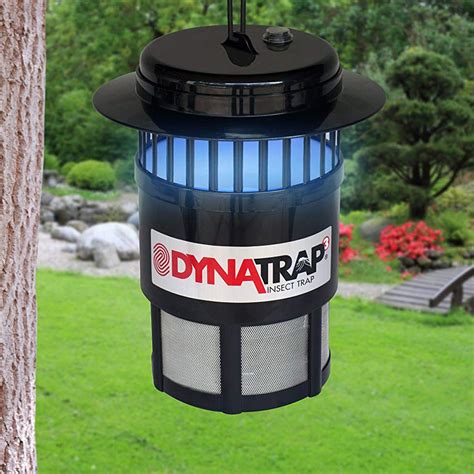 Eliminate Bugs in Your Yard with the Dynatrap Insect Trap | Family Handyman