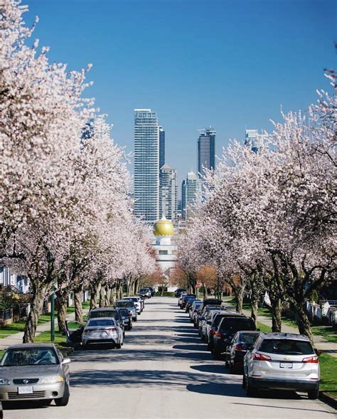 Burnaby, Metro Vancouver, BC,🇨🇦 : r/CityPorn