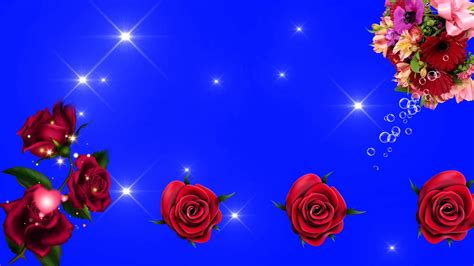 Rose Blue screen Effect video background frame (1) - YouTube