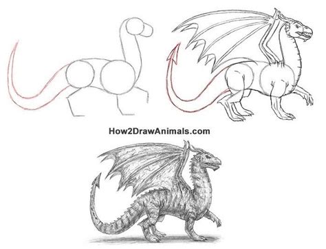 How to Draw a Dragon | Mythical creatures drawings, Dragon sketch ...