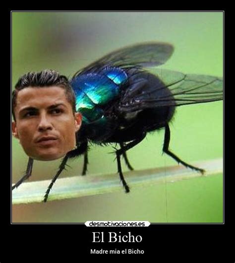 El Bicho | Desmotivaciones