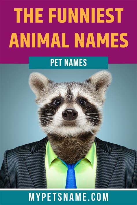 Funny animal names 120 hilarious side splitting unbelievable names ...