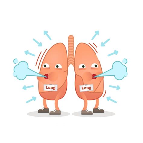 Breathing lungs character vector illustration | Premium Vector