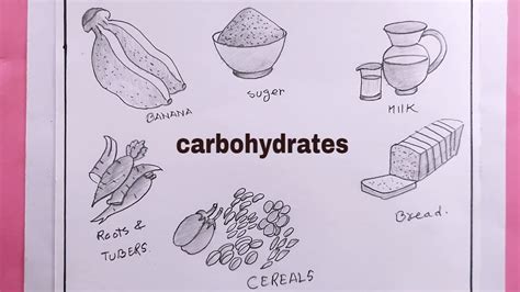 how to draw sources of carbohydrates/carbohydrates food drawing - YouTube