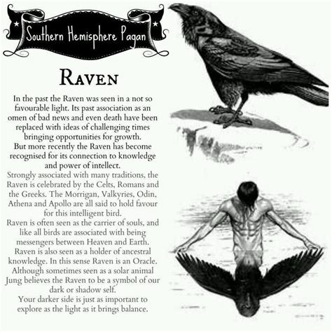 Raven And Wolf, Quoth The Raven, Magick, Witchcraft, Witchy, Symbole ...