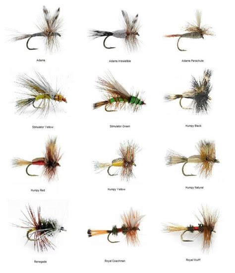 Fly Fishing Flies | 72 Dry Fly Assortment | Fishing Gear | Sale ...