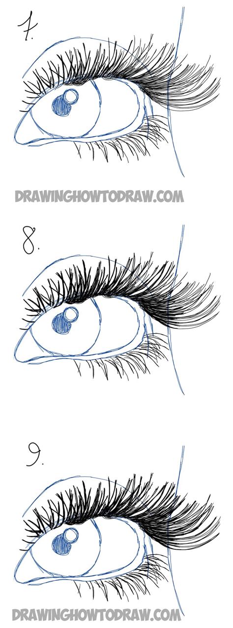 How to Draw Eye Lashes with Step by Step Illustrated Tutorial - How to ...