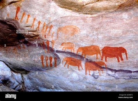 Khoisan Stock Photos & Khoisan Stock Images - Alamy