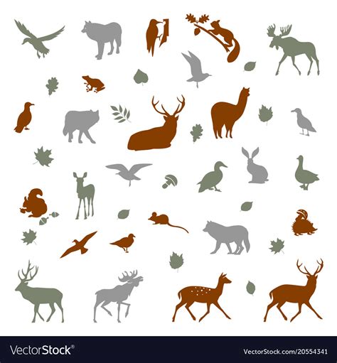 Animals living in european forest Royalty Free Vector Image