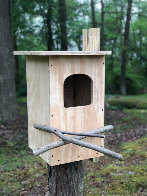 Conservation Barred Owl House Kit, Barred Owl Nesting Box, Barred Owl ...