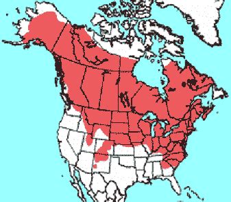 Distribution of the Meadow Vole | Vole Bait Stations - Get Rid of Voles ...