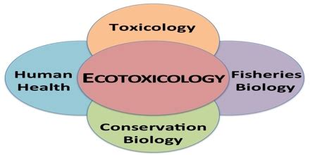 Ecotoxicology - Assignment Point