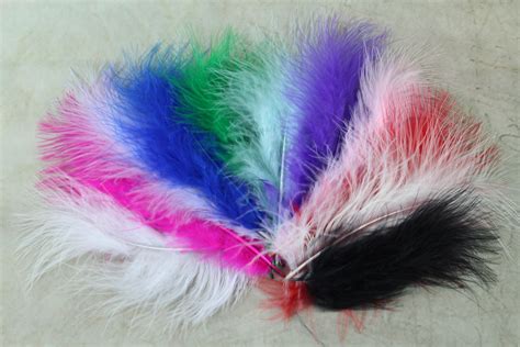 Ostrich Feathers