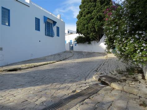 Sidi Bou Said, Famouse Village with Traditional Tunisian Architecture ...