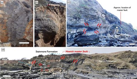 Prehistoric Giant Centipede Fossil