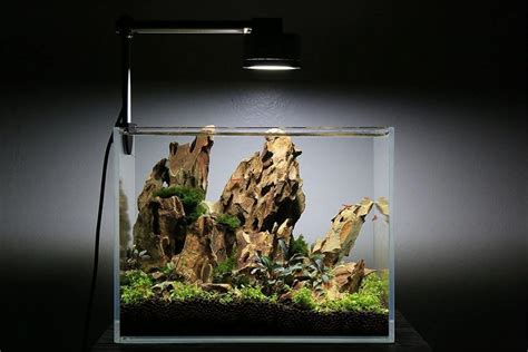 Top 5 Best Budget Planted Aquarium LED Lights For Your Aquarium Plants ...