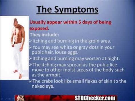 Crabs STD : Important Information, Symptoms, and Treatmen... - YouTube