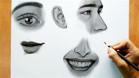 Human Face Drawing Pencil Sketch - Easy face drawing tutorial with ...