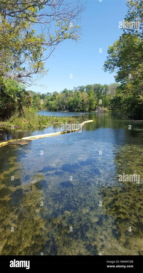 Lake With Trees In Background Stock Photo - Alamy