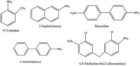 Structures of common urinary aromatic amines. | Download Scientific Diagram