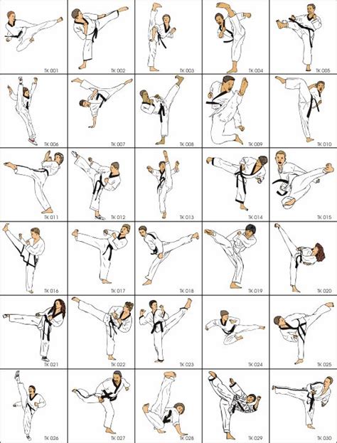 Taekwondo Moves Beginner - Art of Move