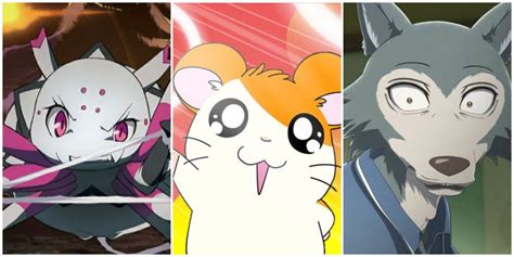 10 Best Anime With Animal Protagonists, Ranked