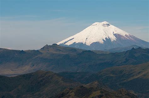 Cotopaxi National Park - BirdForum Opus | BirdForum