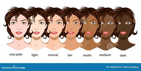 A Vector Set Of Six Types Of Skin From Pale To Exotic | CartoonDealer ...