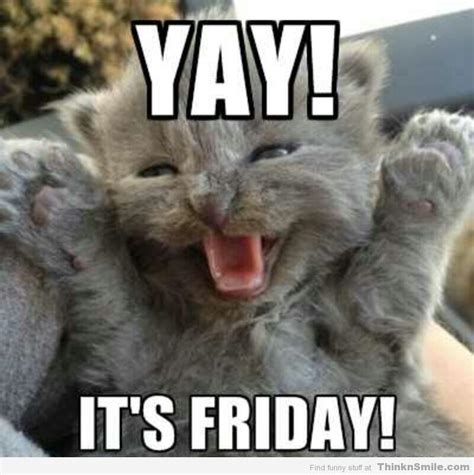 Thank God Its Friday Cat